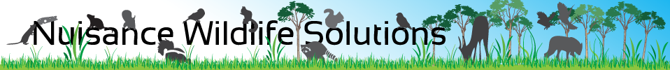 Nuisance Wildlife Solutions